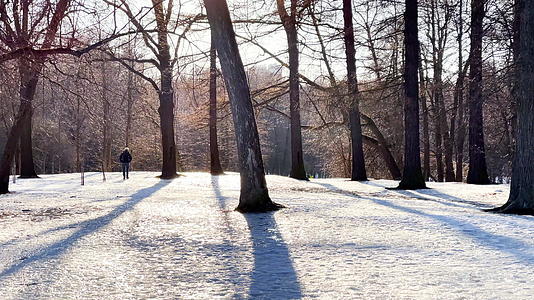 在阳光明媚的冬天 人们在没有叶子和叶子的雪覆盖的公园里行走视频的预览图