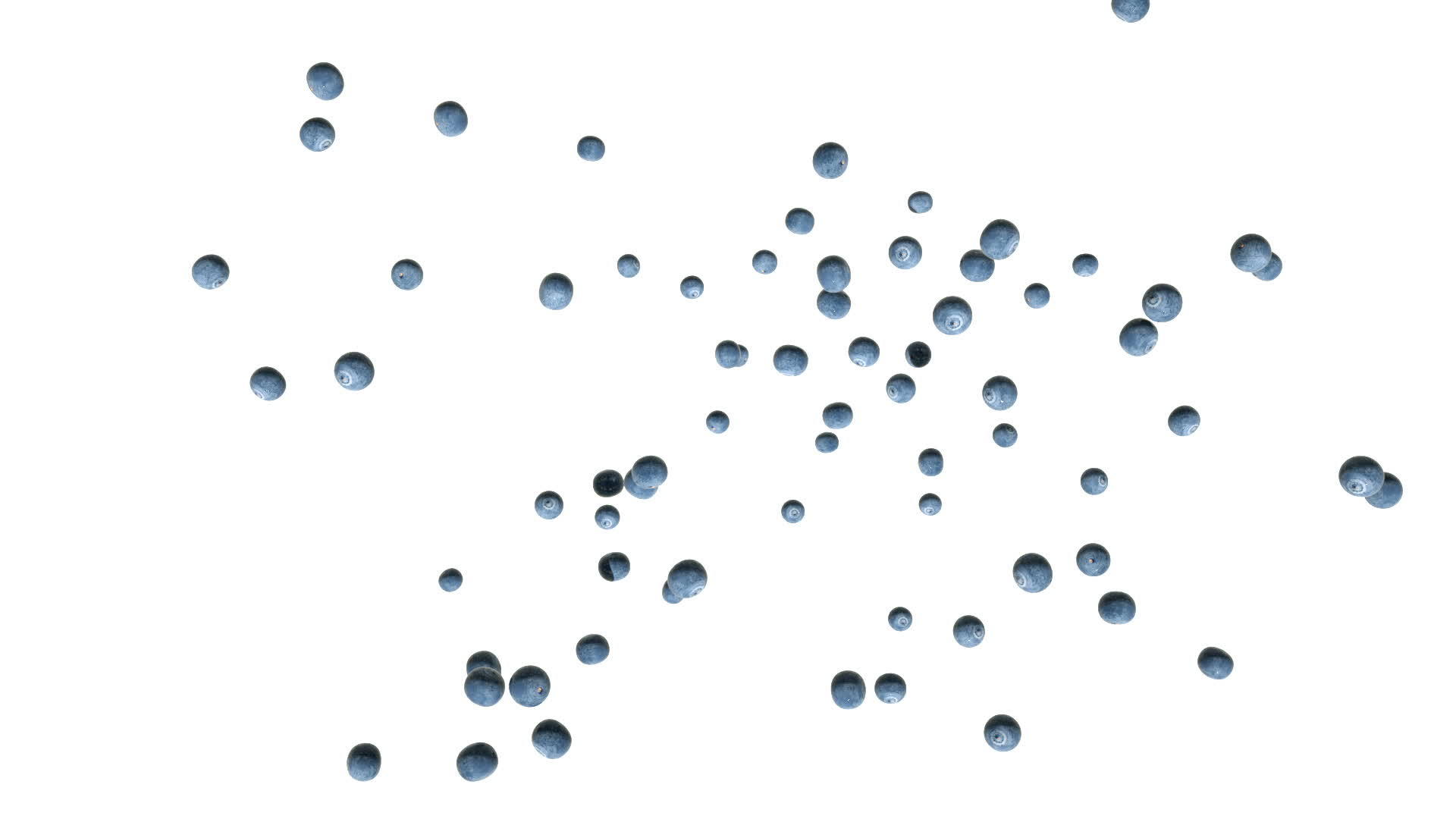 蓝莓以缓慢的动作高视率飞行视频的预览图