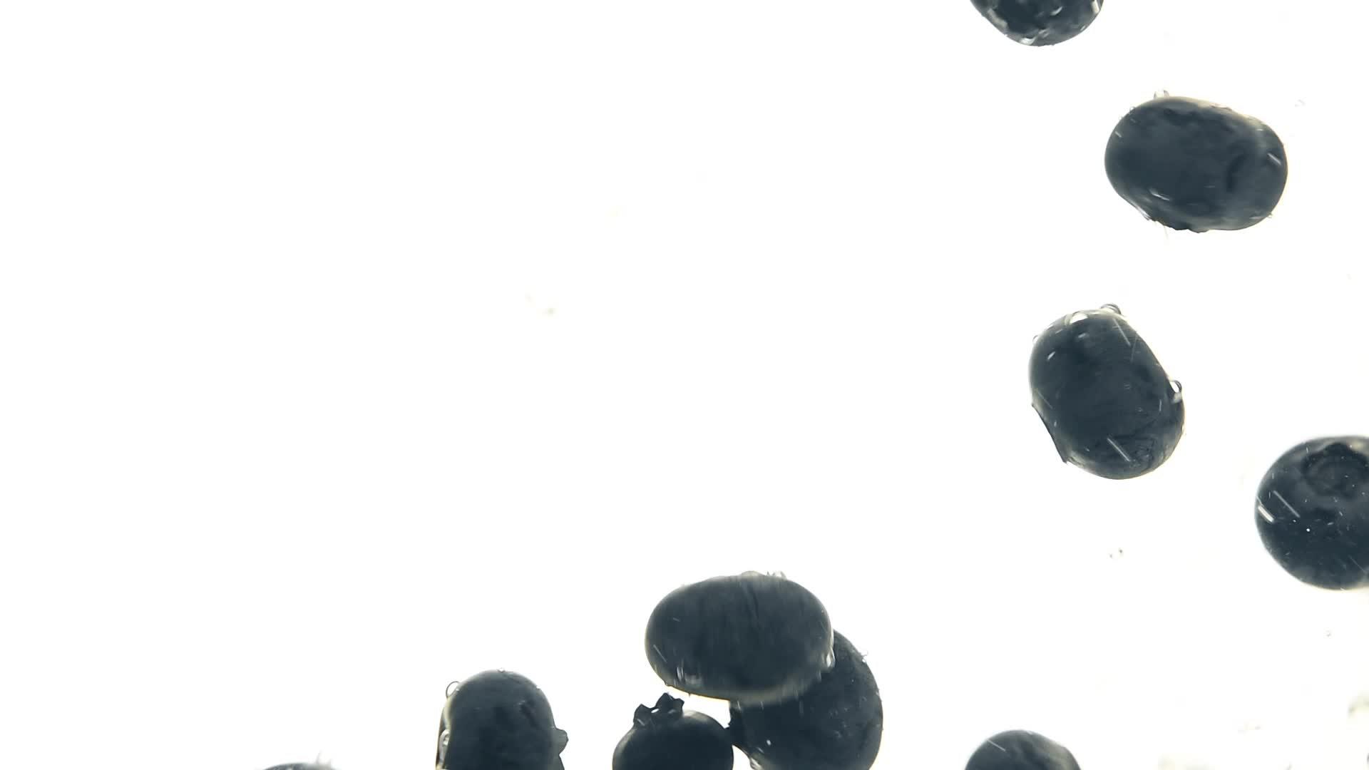蓝蓝莓漂浮在水中视频的预览图
