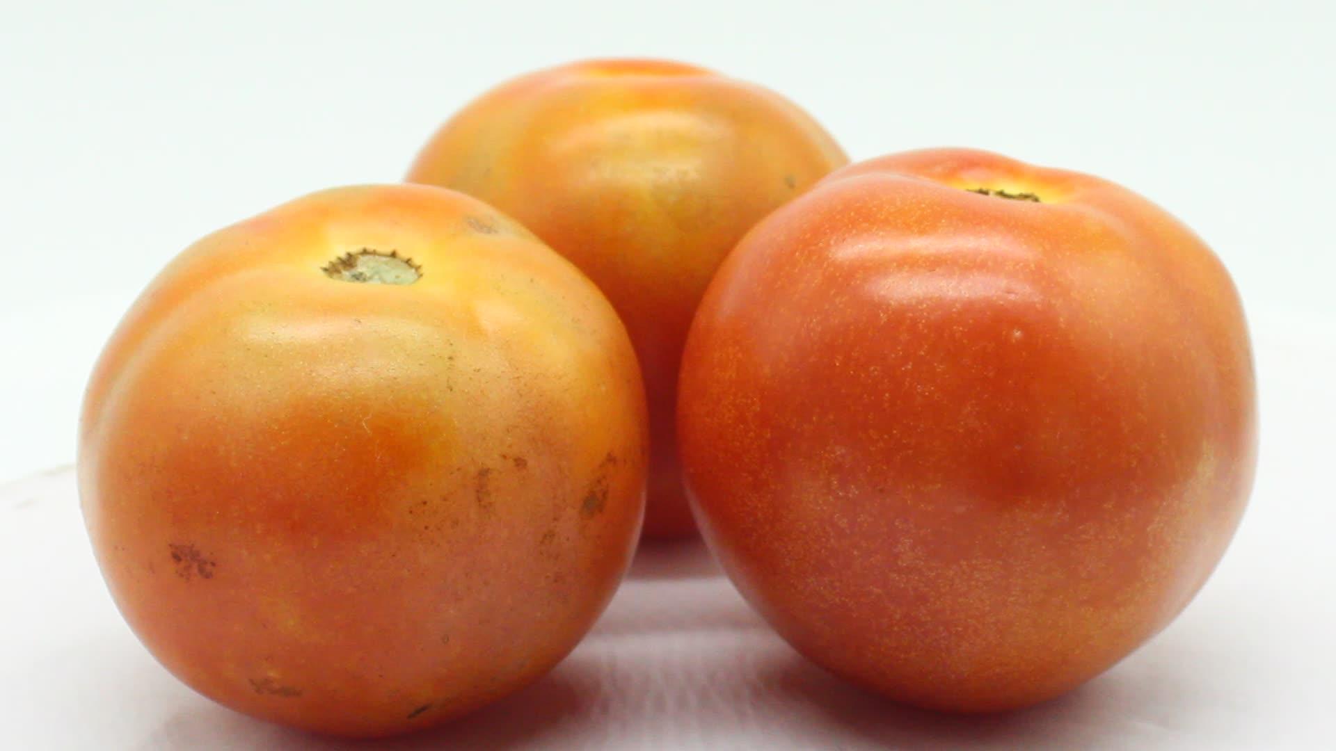 新鲜番茄的白色背景视频的预览图