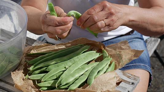 绿色法国豆一个女人手切豆子视频的预览图