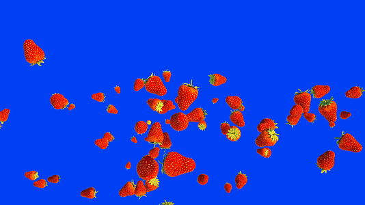 新鲜草莓在蓝色屏幕上缓慢飞行视频的预览图