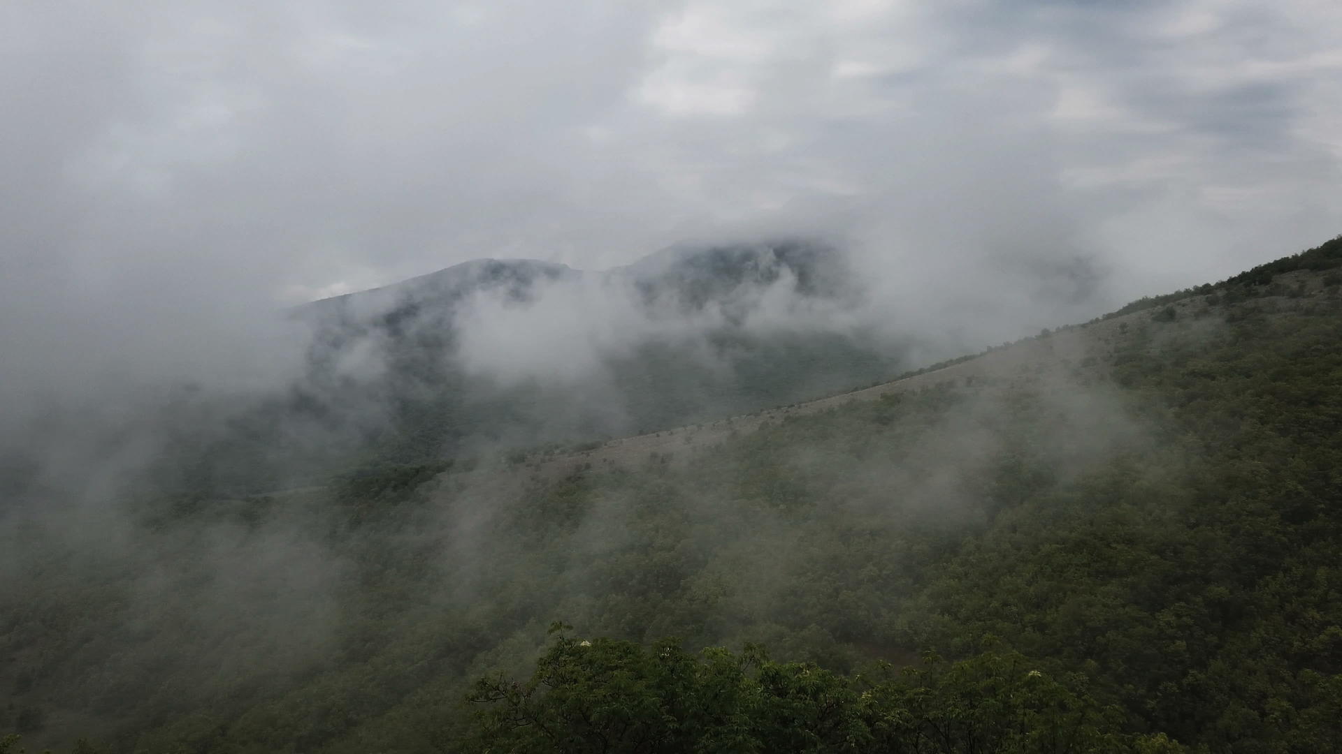 在低云中的森林山美丽的风景下树在雾中视频的预览图