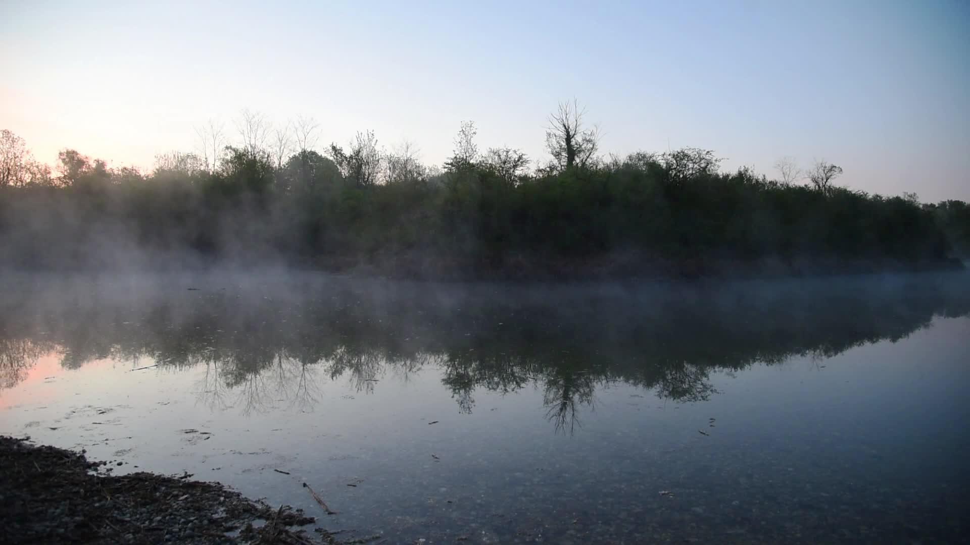 晨雾的幻影视频的预览图