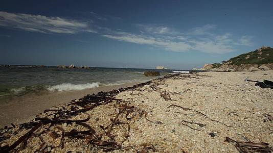 地中海海滩上的藻类和粗糙的沙子视频的预览图