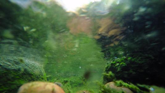 岩石上有海藻的水下溪流视频的预览图