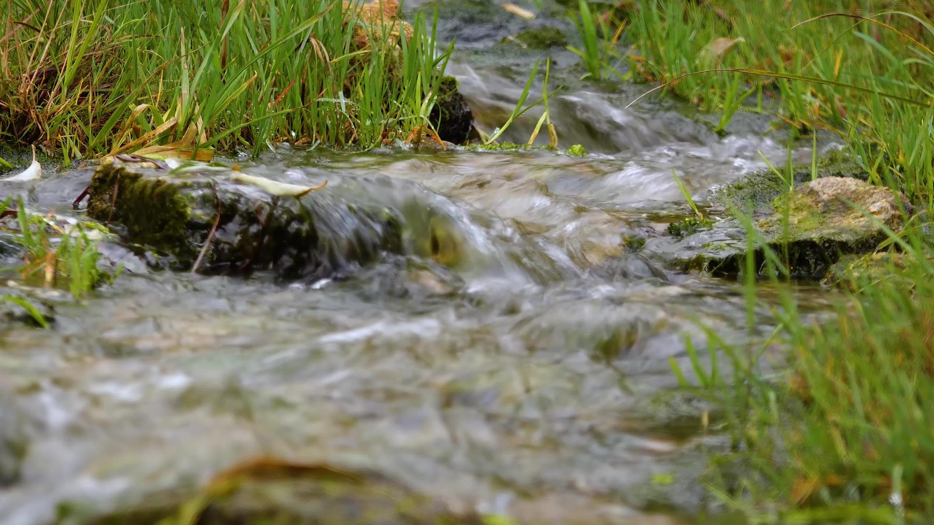 纯淡水溪流有清澈的水从山到湖视频的预览图