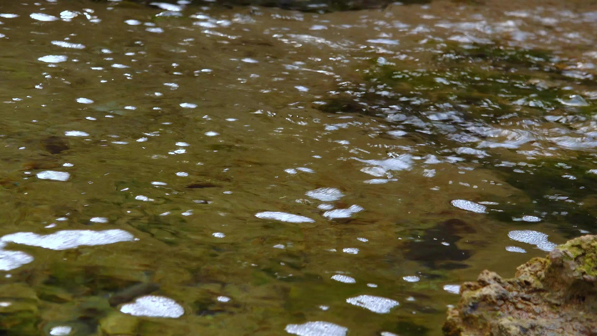 淡水从岩石流出的溪流中流出视频的预览图