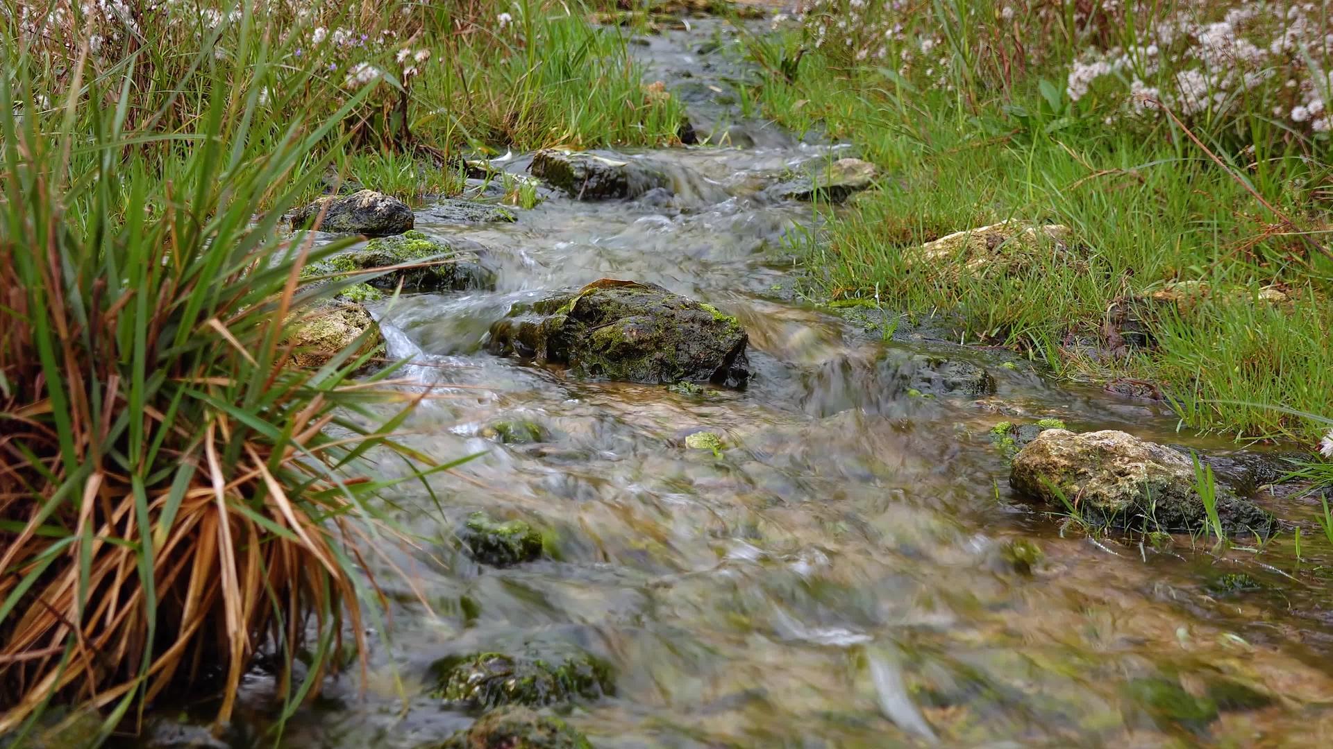 纯淡水溪流有清澈的水从山到湖视频的预览图