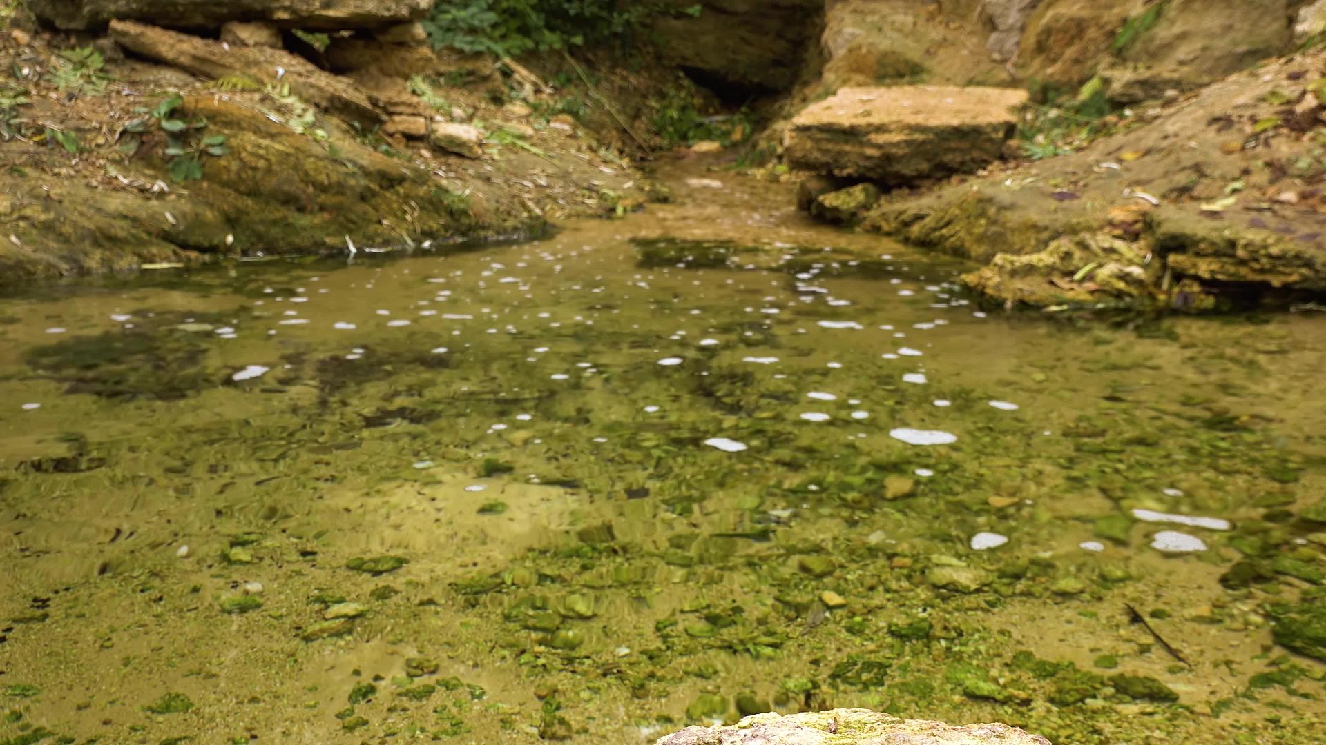 淡水从岩石流出的溪流中流出视频的预览图