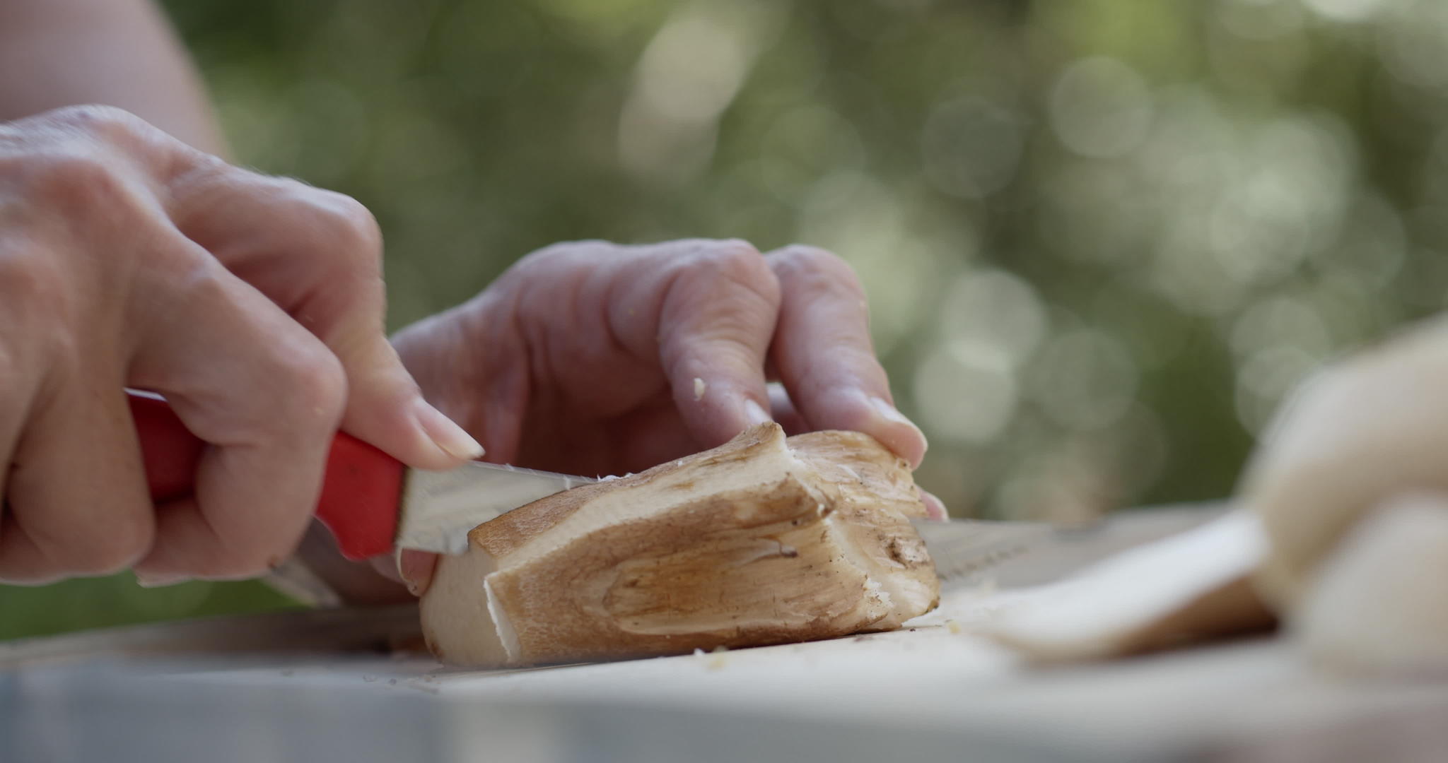 把薄荷面包蘑菇切成小块视频的预览图