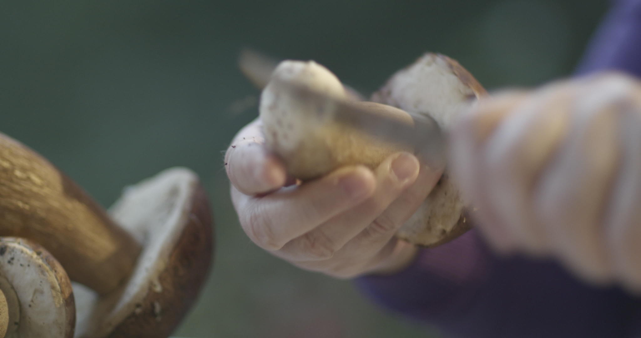 用刀清洗新鲜猪肉牛排桌上的薄饼蘑菇视频的预览图