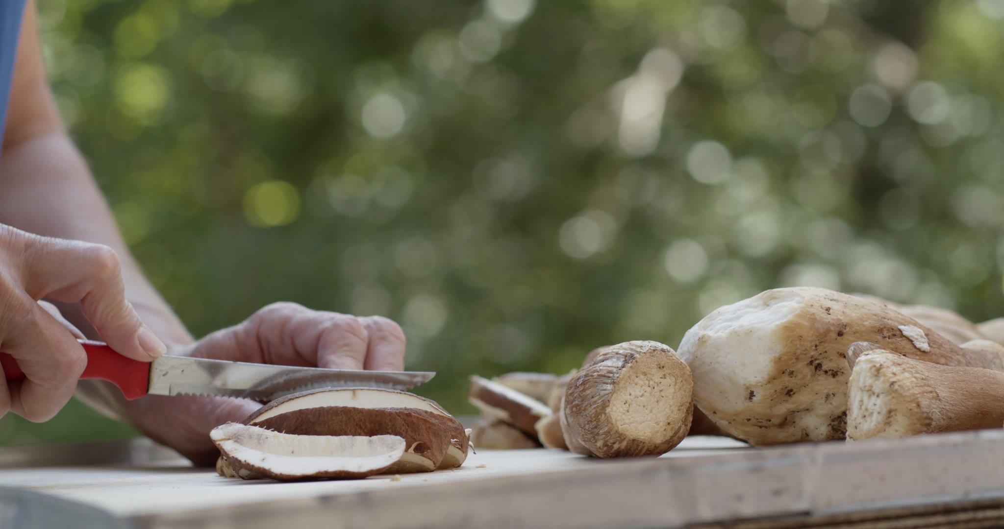 把薄荷面包蘑菇切成小块视频的预览图