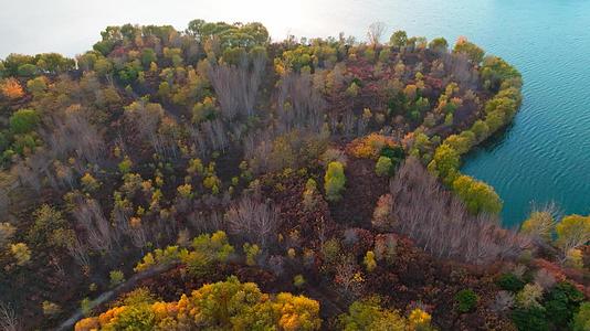 秋季湖心岛4k航拍视频的预览图