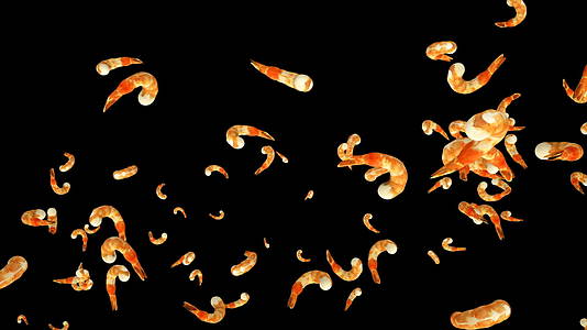 新鲜虾慢动作与乳胶垫视频的预览图