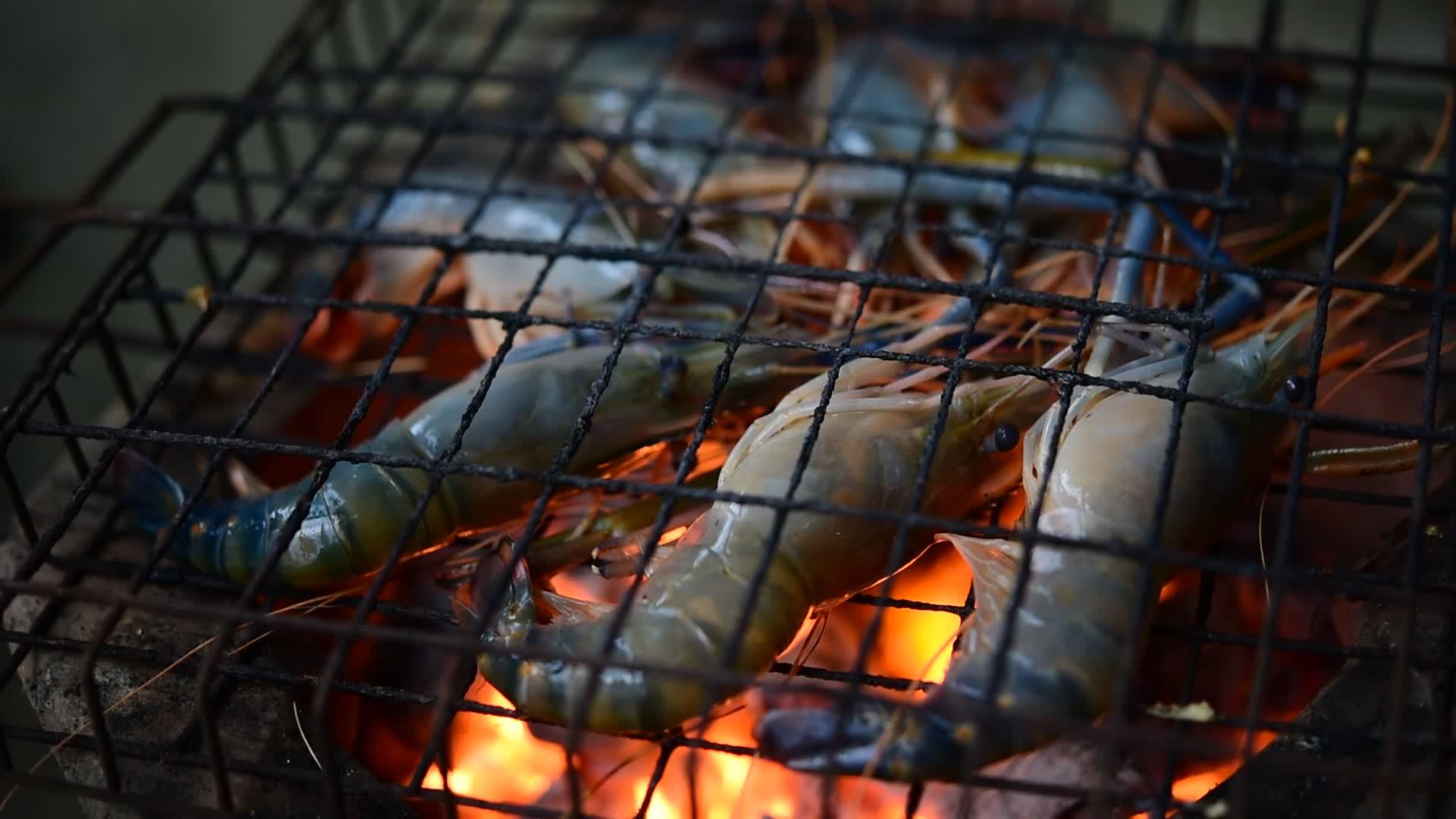 市场上的烤虾大淡水虾视频的预览图