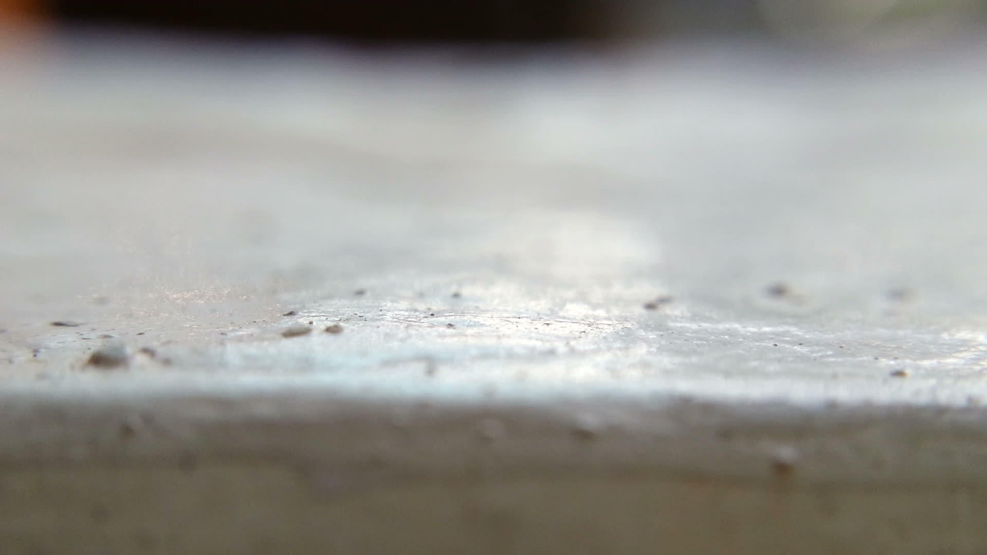 步行的蚂蚁视频的预览图