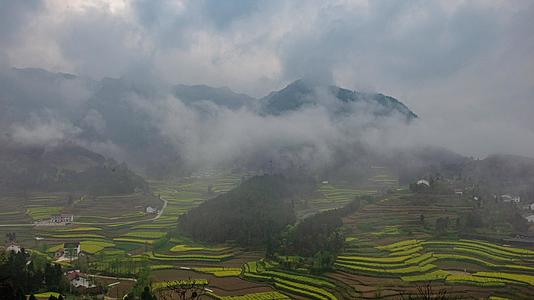 云雾缭绕在山间视频的预览图