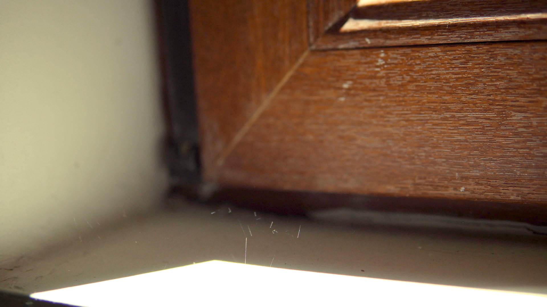蜘蛛网在废弃房屋的旧木窗上近视视频的预览图