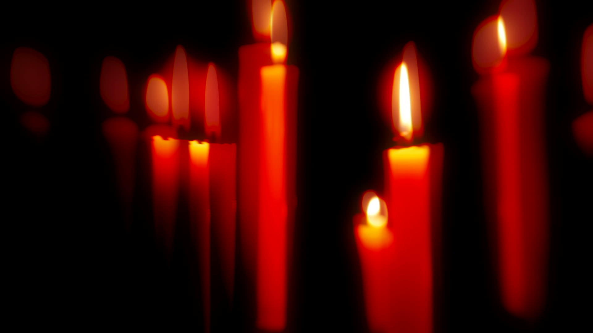 红蜡烛视频的预览图