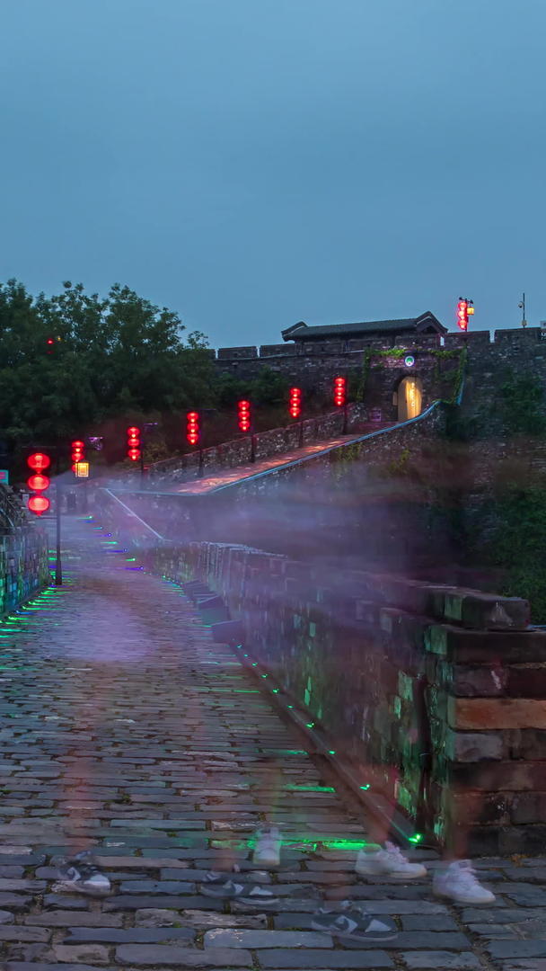 延迟南京明城墙夜景视频的预览图