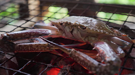 花蟹在传统的炉子上烧烤美味的泰国海鲜菜单视频的预览图