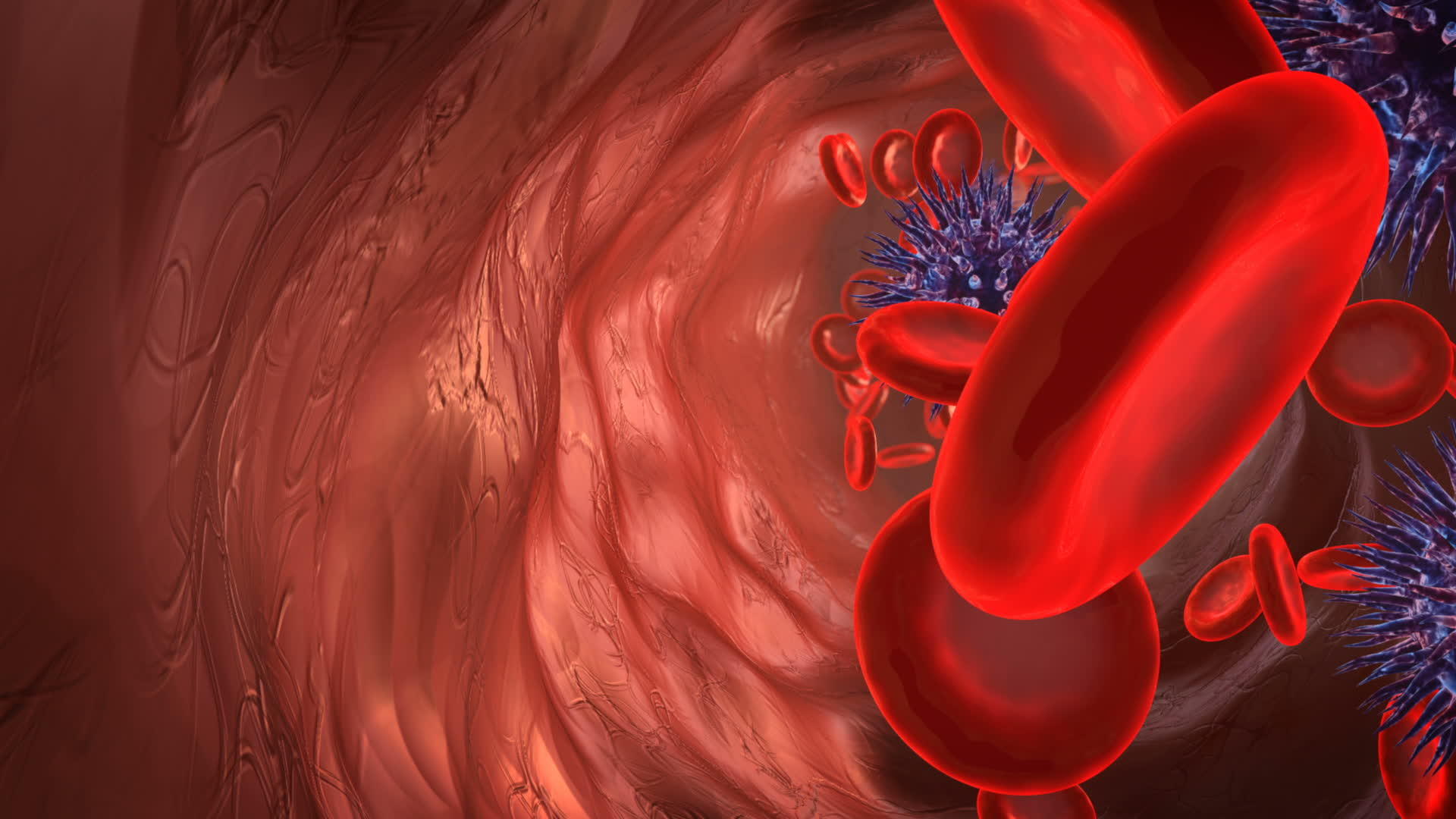 血细胞和视频的预览图