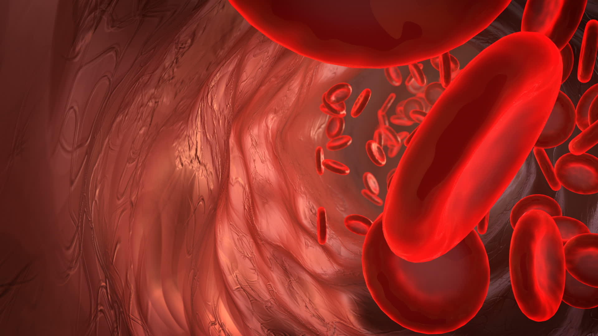 动脉中的血颗粒视频的预览图
