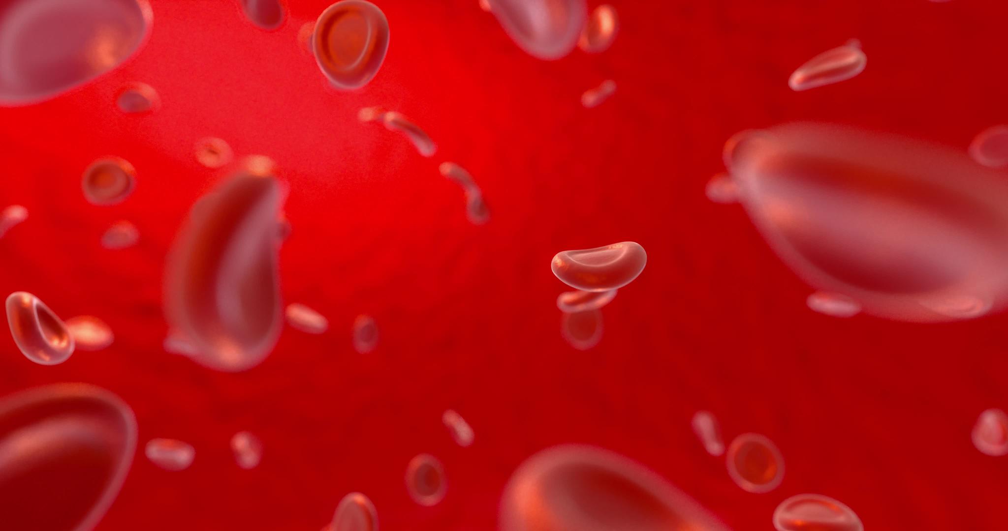 血红细胞的抽象妊娠寿命和健康3d产生视频的预览图