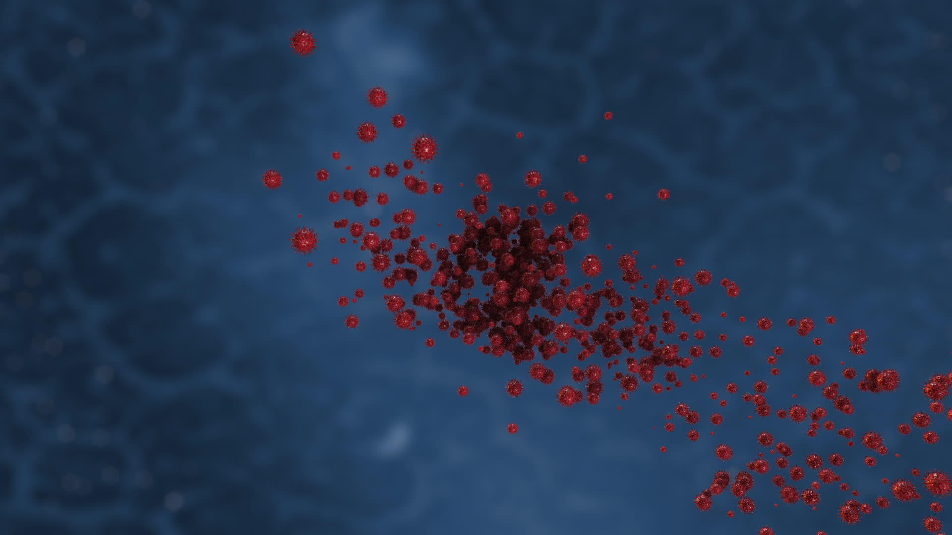红细胞飞来形成文本视频的预览图