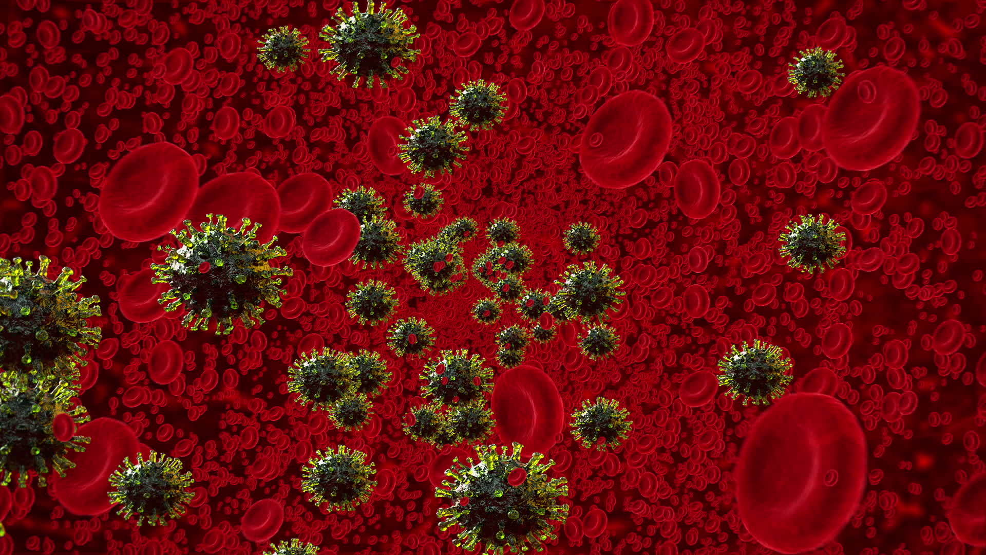 受污染的细胞血流视频的预览图