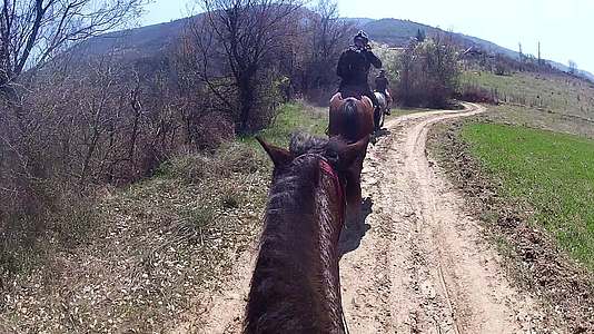 一匹马从一匹马的第一个角度射击视频的预览图