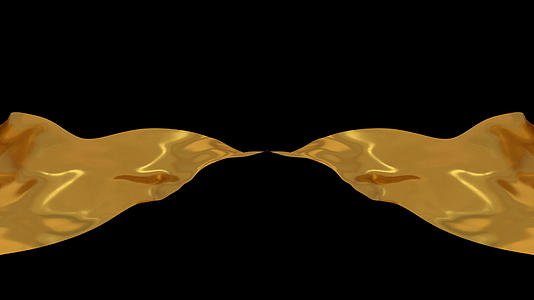 金色双开丝带带通道视频的预览图