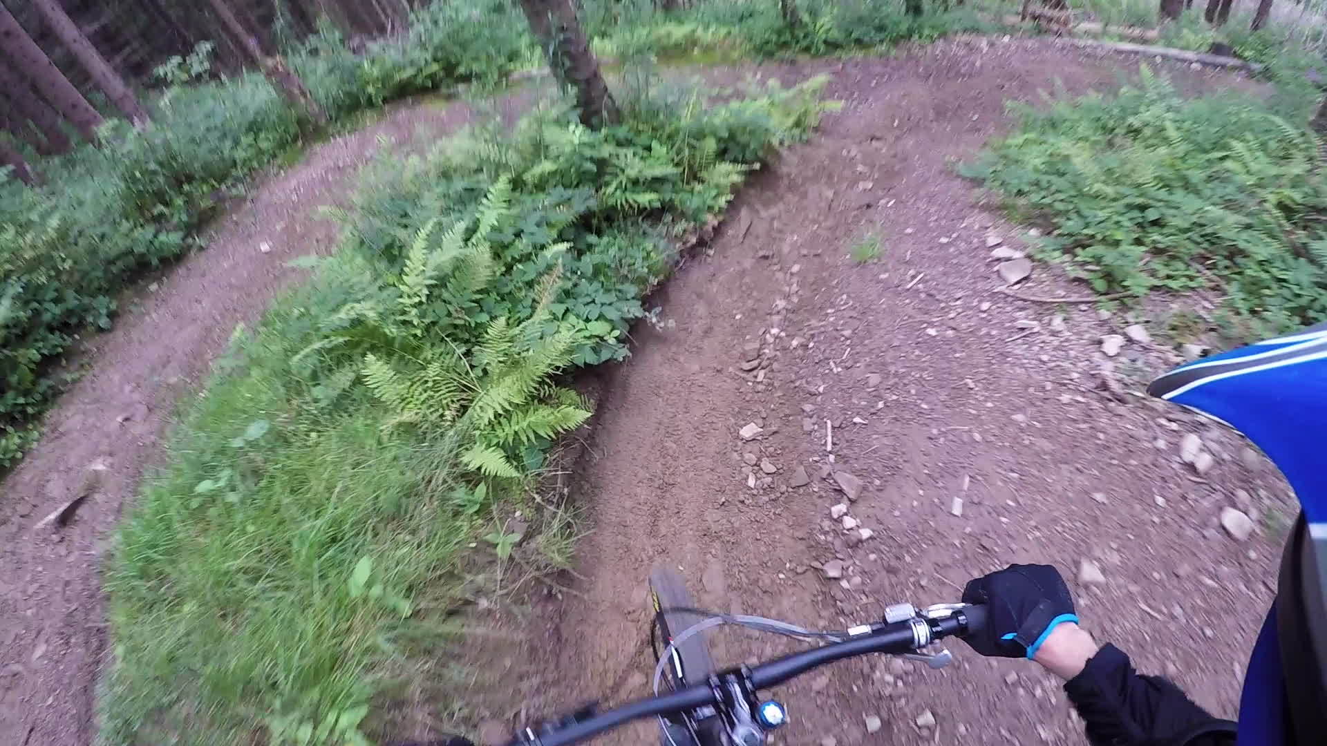 山下自行车骑着森林雾头盔相机视频的预览图