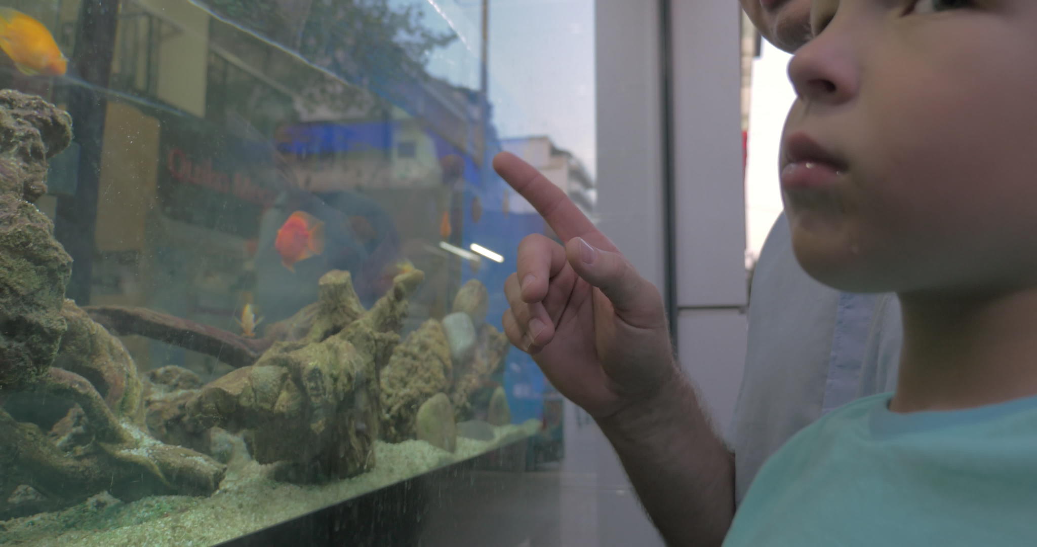 在塞萨洛尼基山的城市父亲和儿子带着鱼去看水族馆视频的预览图