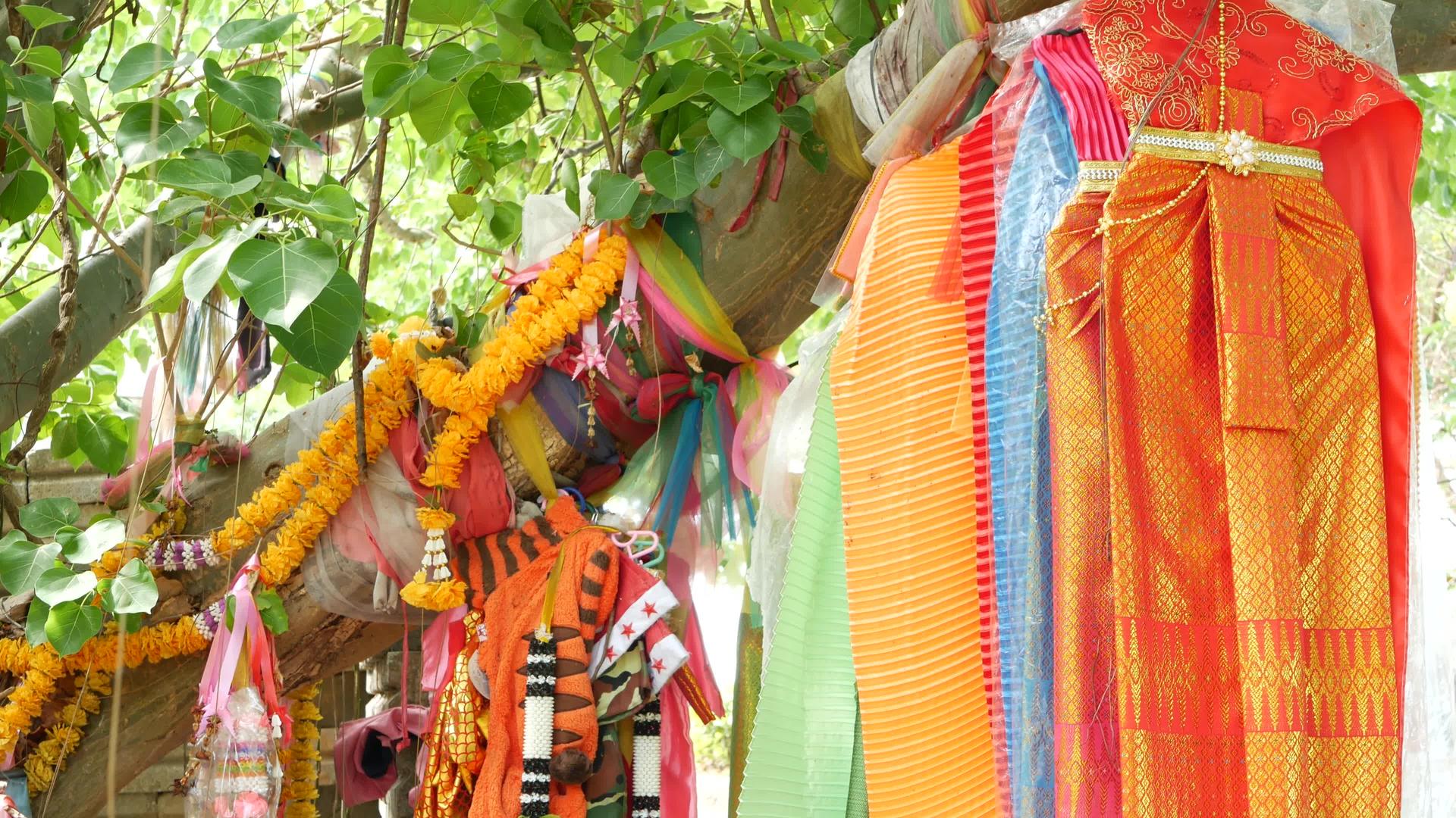 一堆鲜艳的传统服装在祭坛附近的树上提供五颜六色的衣服视频的预览图