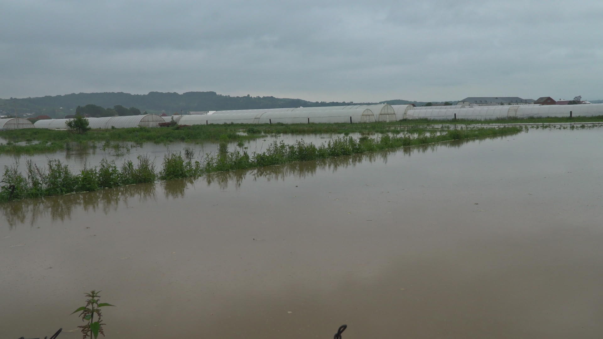 暴风雨过后田野种植园被农场淹没视频的预览图
