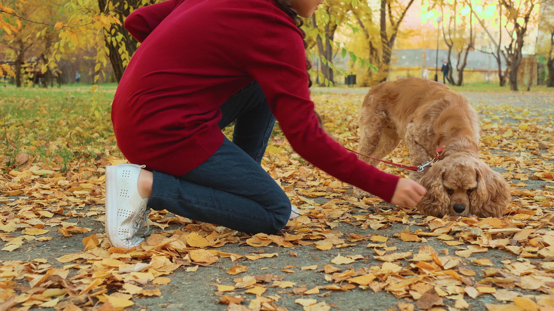 在公园里女孩喂狗的作物视频的预览图