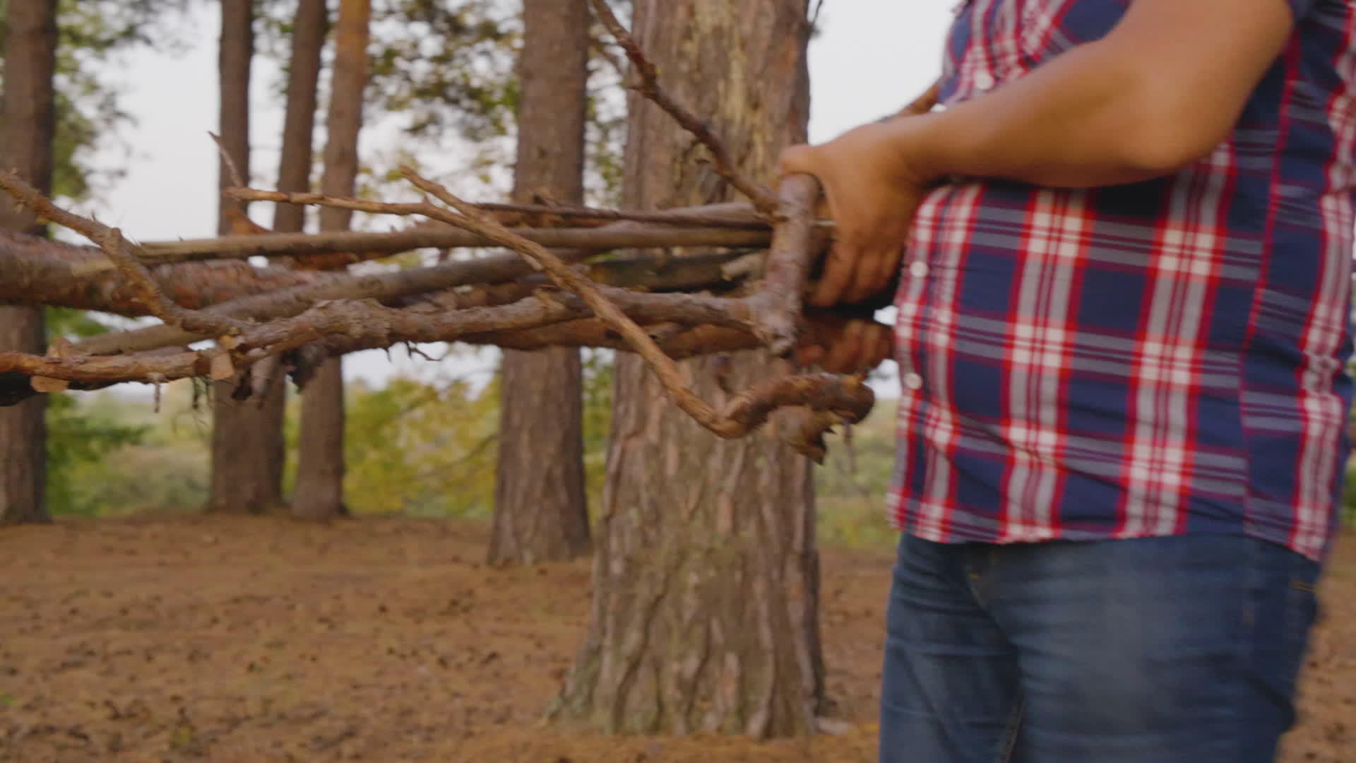 这个人在森林里携带干原木视频的预览图