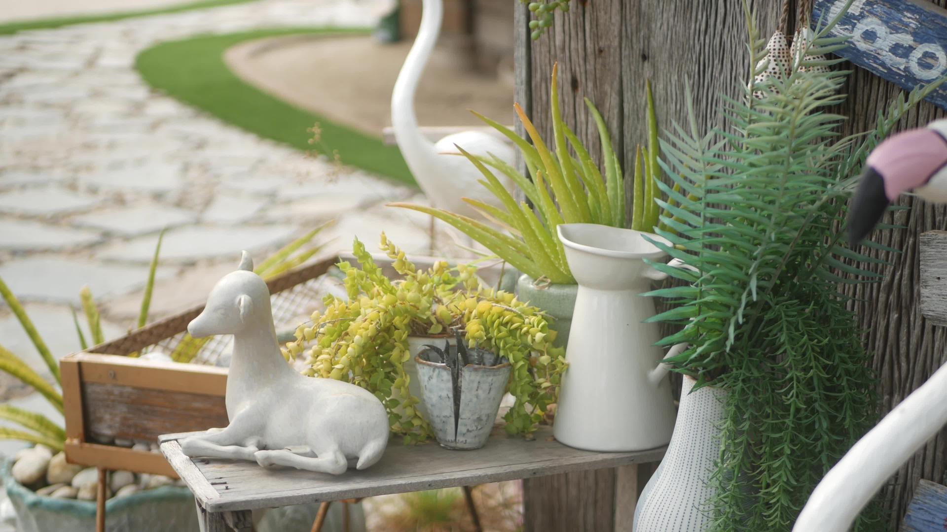 一套美丽的复古装饰和花园植物装饰庭院视频的预览图