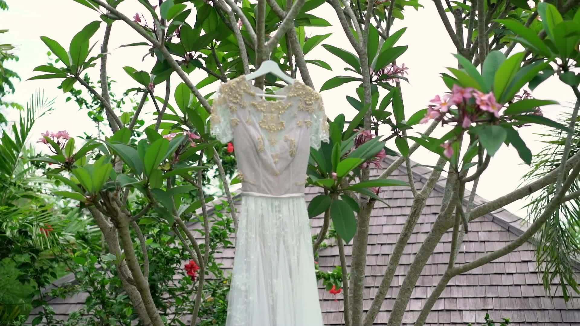 婚纱热带别墅视频的预览图