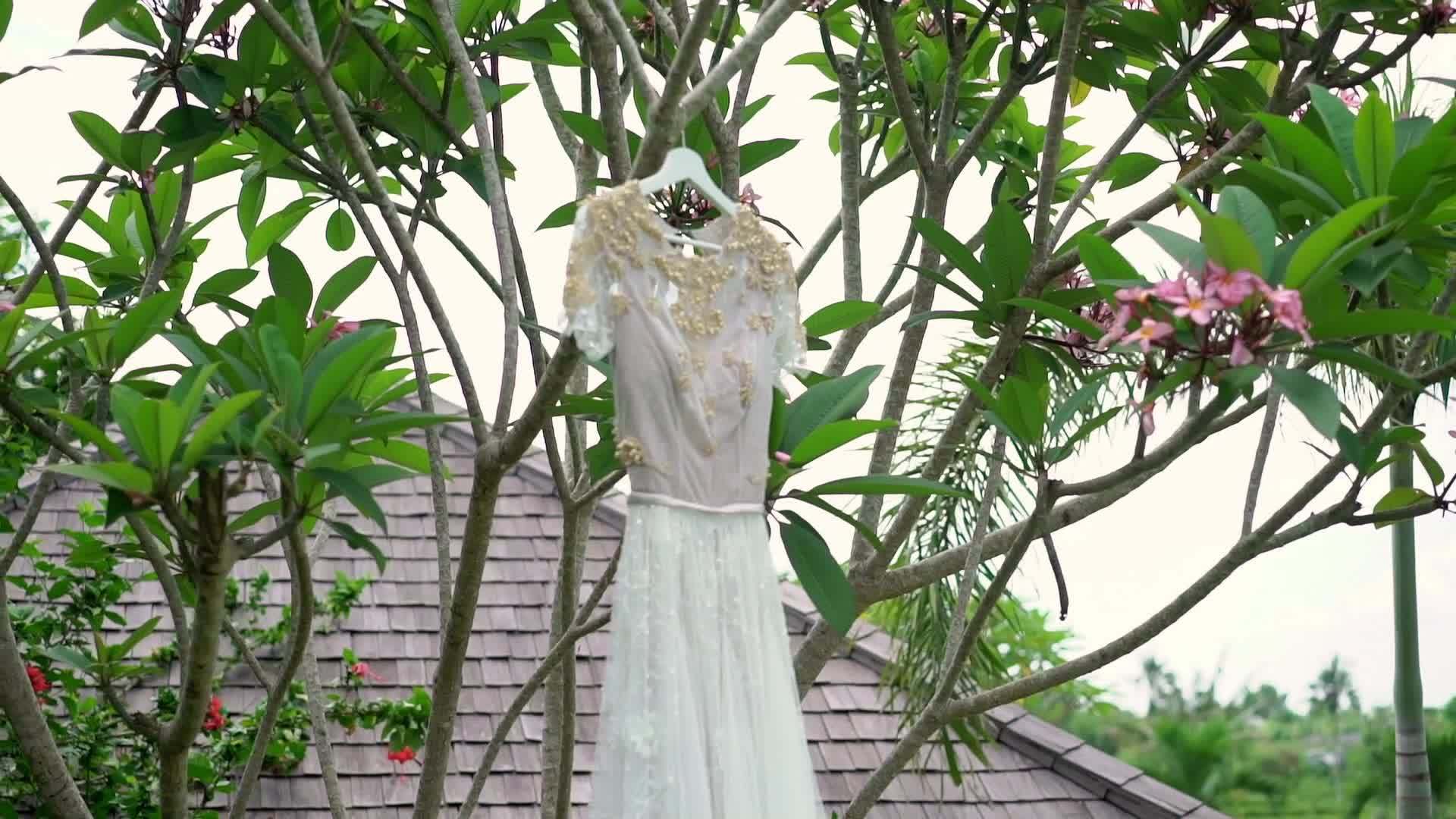 婚纱热带别墅视频的预览图