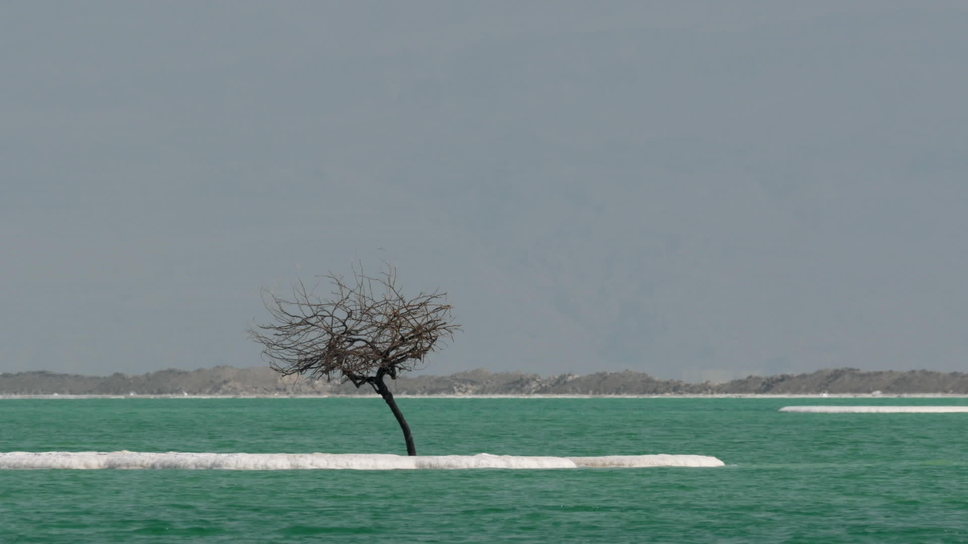 死海纯净水中的盐小岛视频的预览图