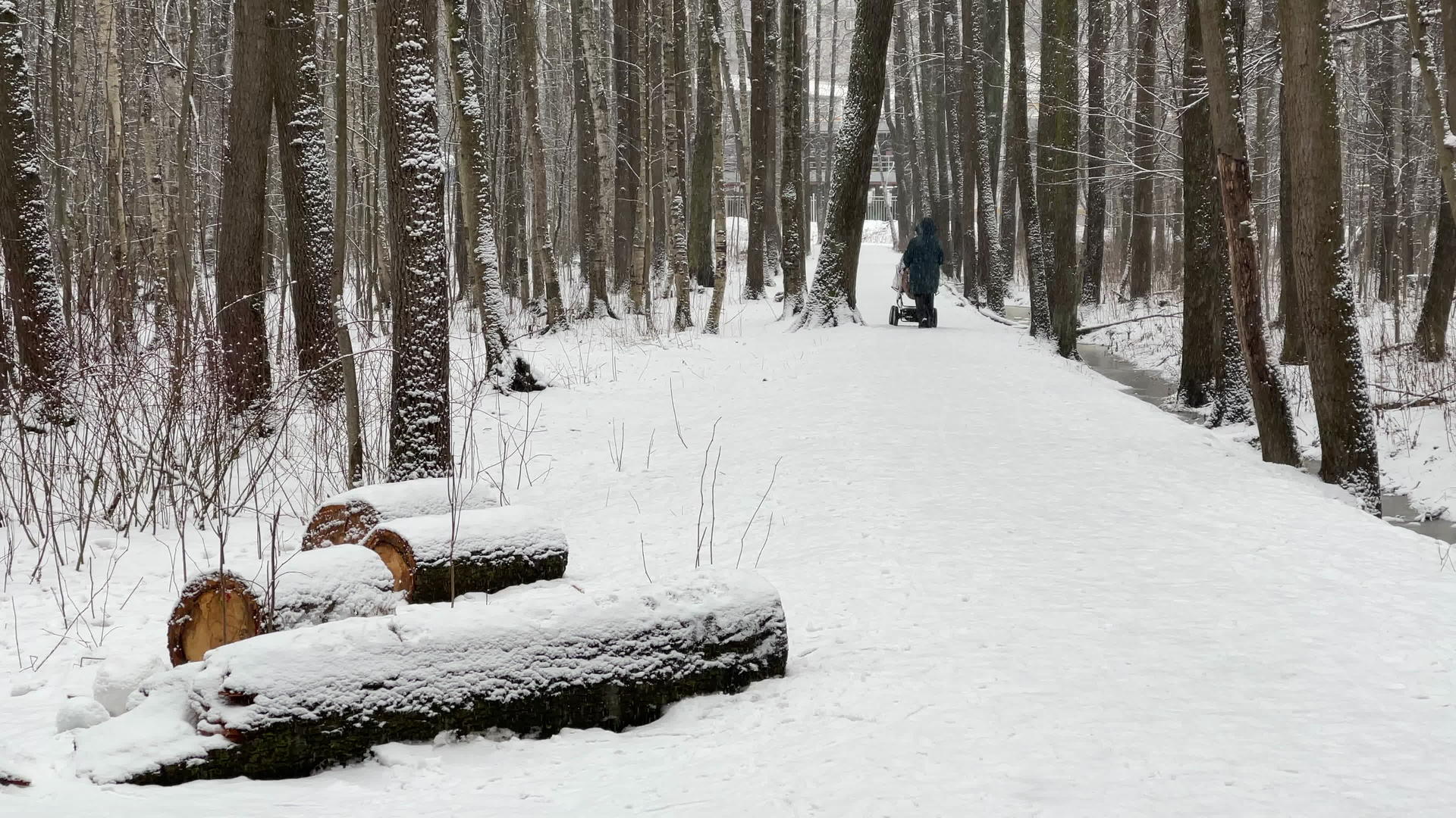 公园里下雪了冬天人们从树干走到透视地块视频的预览图