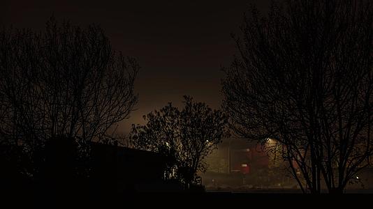 夜间有雾的空枝视频的预览图