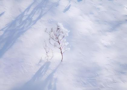 冬季雪地纹理材料视频的预览图