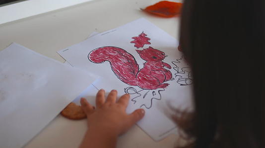 小女孩在纸上画了一幅红色标记的松鼠画像视频的预览图