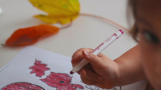 小女孩在纸上画了一幅红色标记的松鼠画像视频的预览图