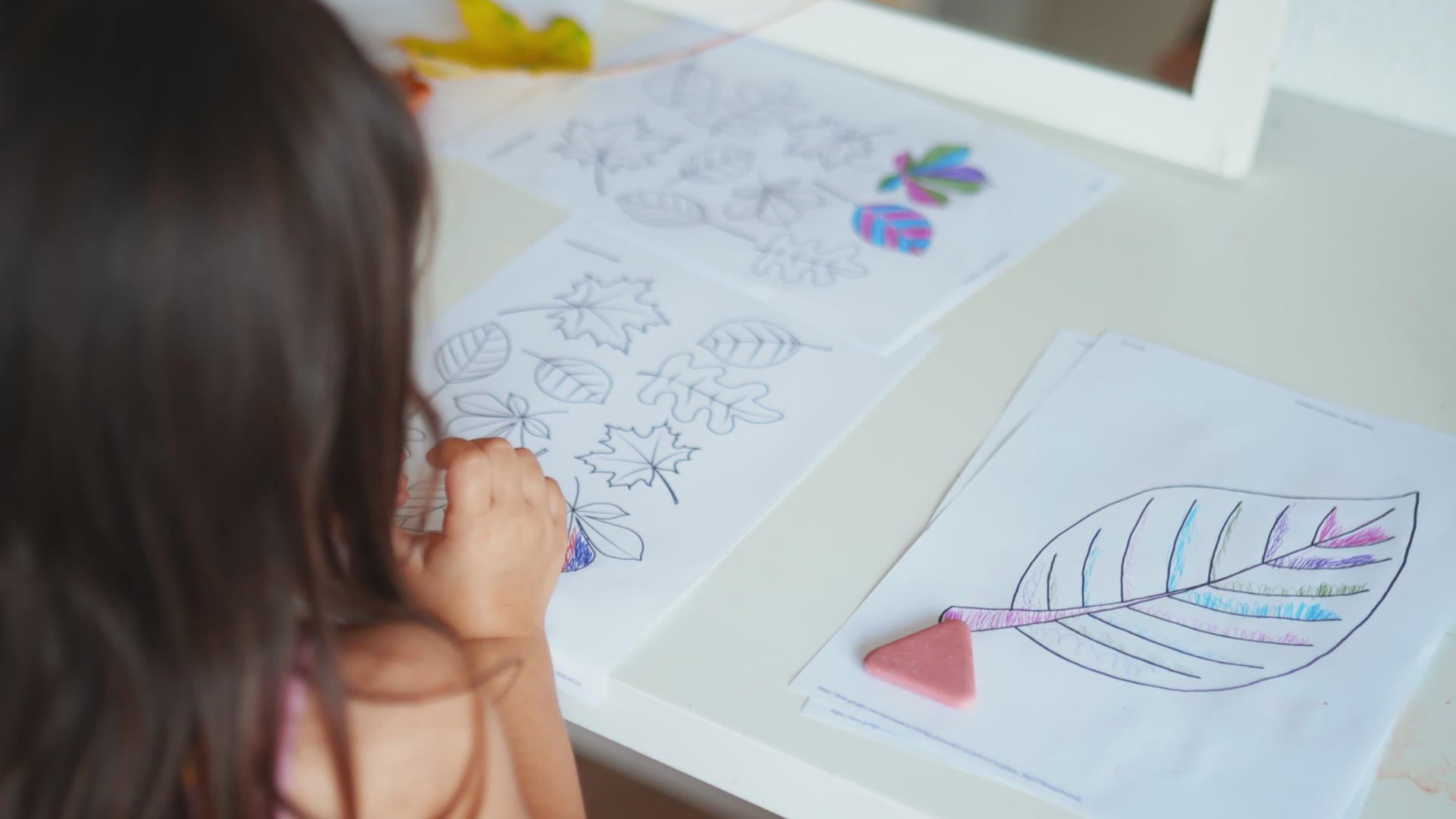 小女孩用笔在纸上画了不同种类的叶子视频的预览图
