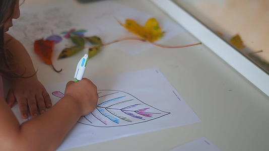 小女孩用笔把大叶子的颜色涂在纸上视频的预览图
